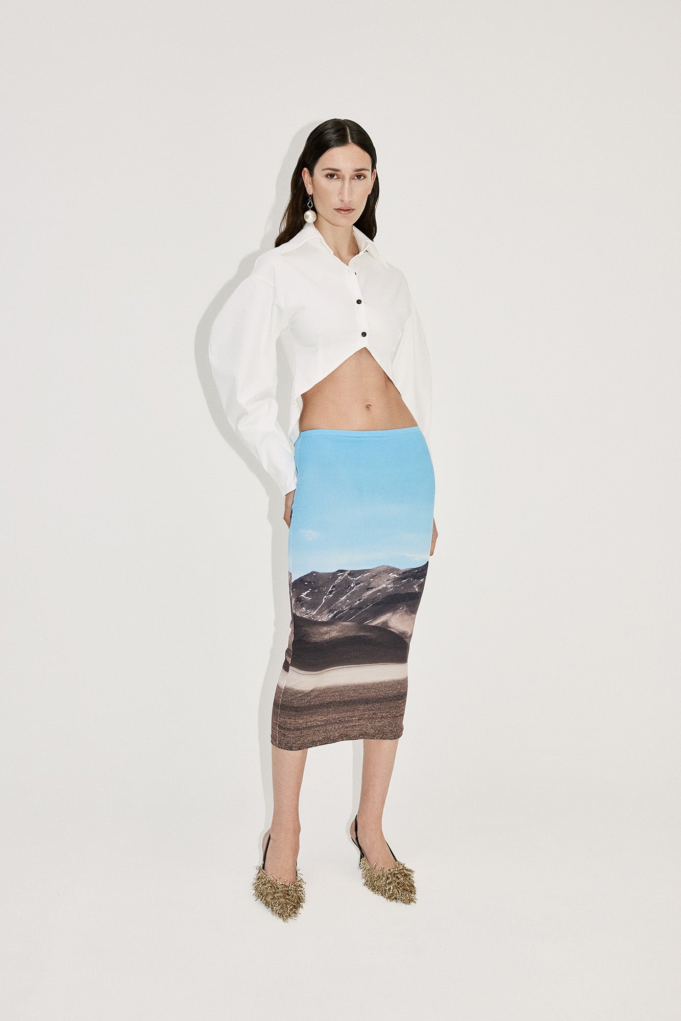 LANDSCAPE PRINT PENCIL SKIRT